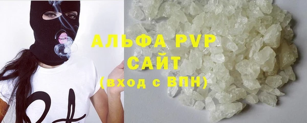 гидра Алексин