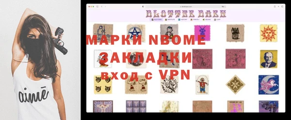 гидра Алексин