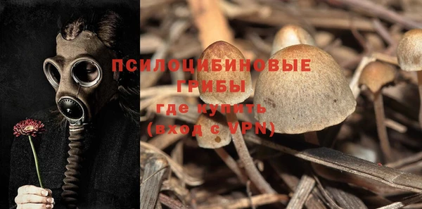 прущий лед Алексеевка