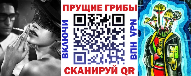 где купить наркоту  Арзамас  Псилоцибиновые грибы MAGIC MUSHROOMS 